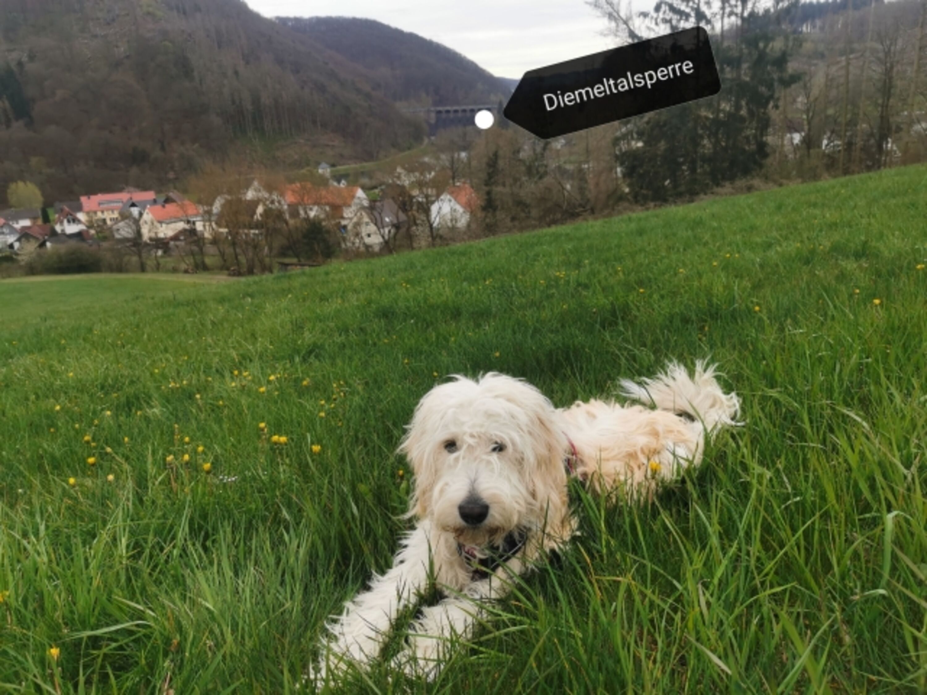Bild 17