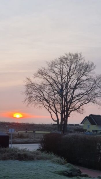 Ausblick von dem Wohnraum u. Terrasse 