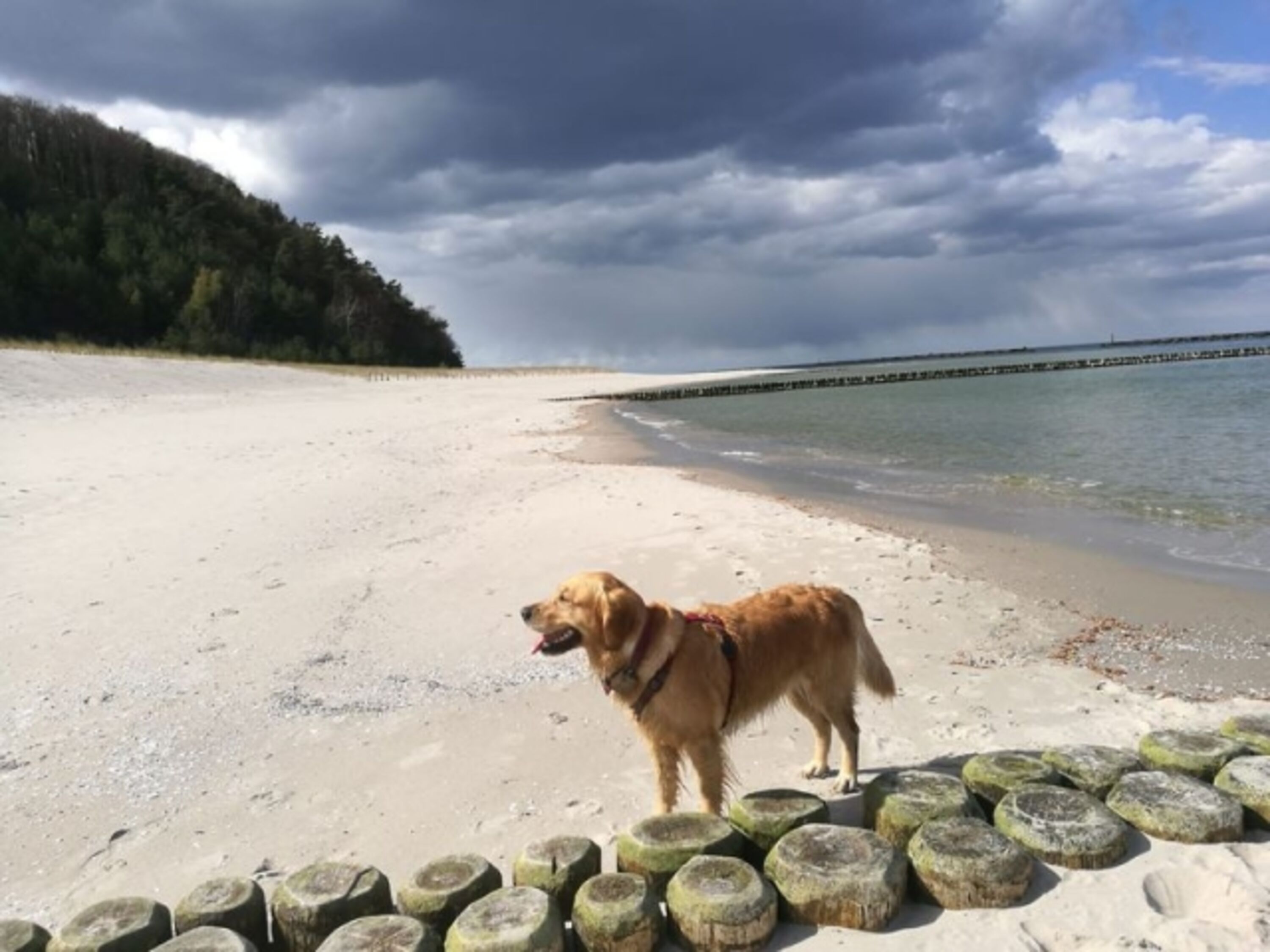 Bild 14