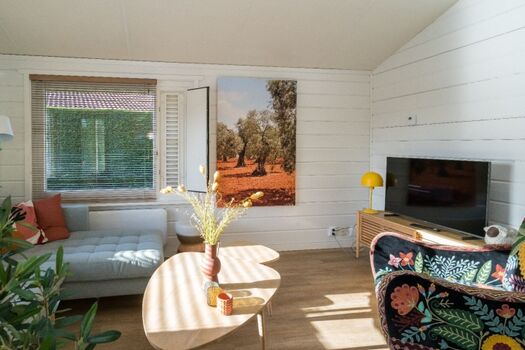 Digital TV mit NETFLIX und vielen deutschen Sendern