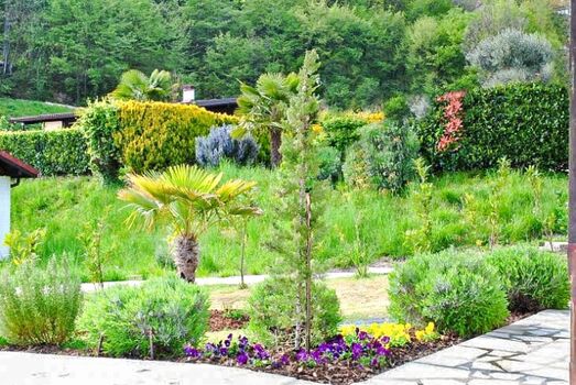 Garten mit mediterranen Pflanzen