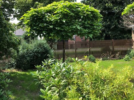 Der Garten von HYGGE HAUS