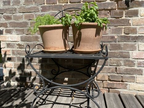 Frische Kräuter im Hygge Garten