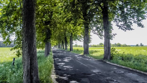 Herman`s  Hof - Umgebung 