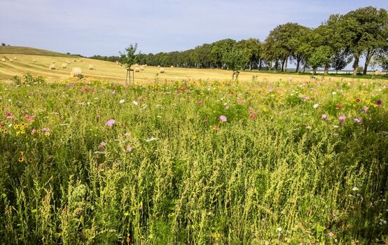 Herman`s  Hof - Umgebung 