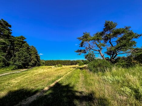 Herman`s Hof - Weg in den Wald 100 m hinter dem  Herman`s Hof