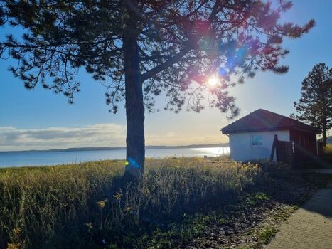 nur 100 m bis zum Kurstrand 