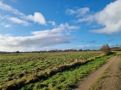 Fußweg nach Schausende 