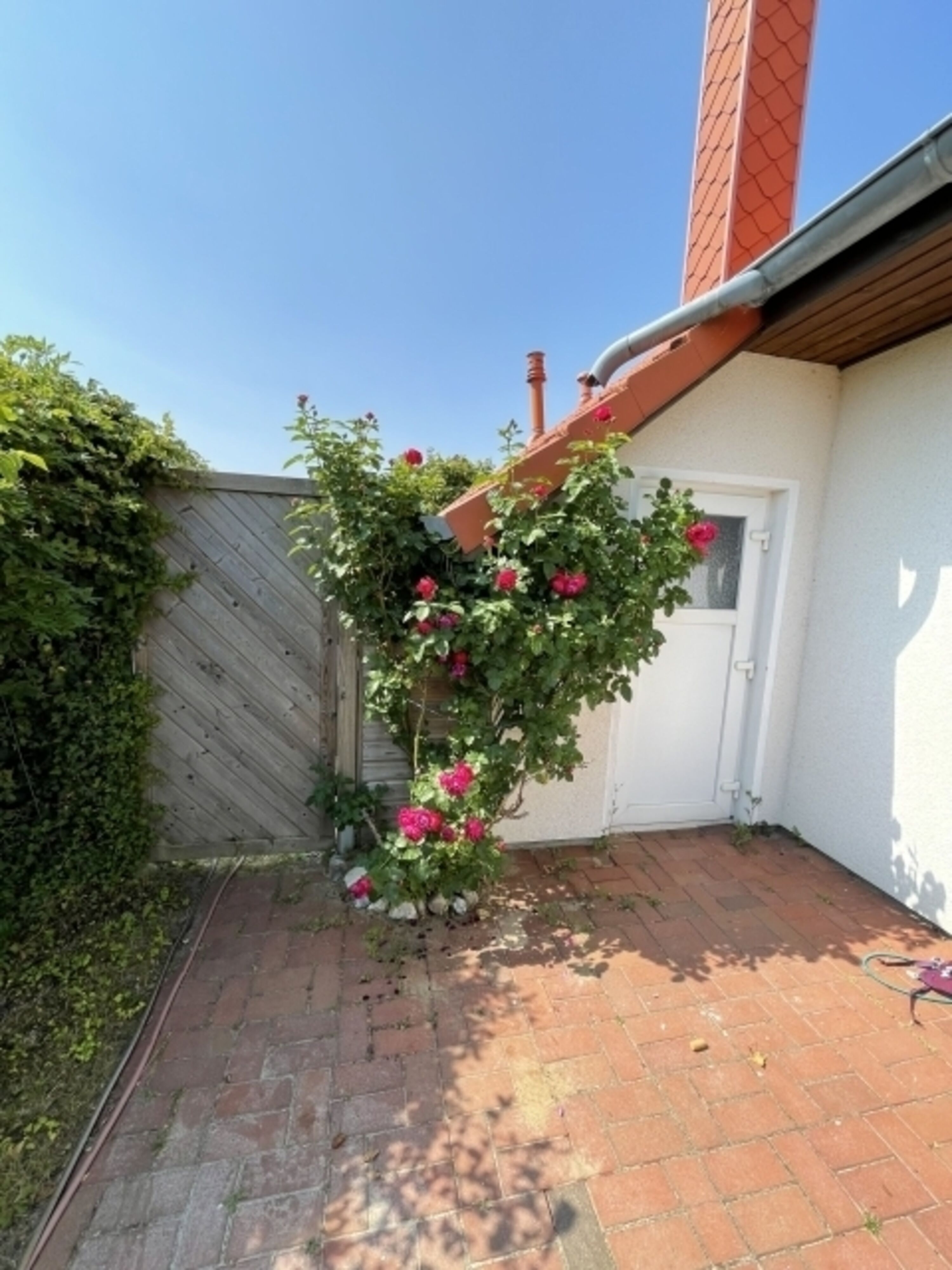 Bild 19