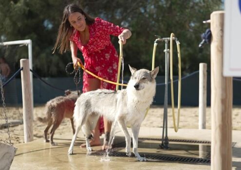 Baia Blu Beach - mit Pet Area für Ihren vierbeinigen Freund
