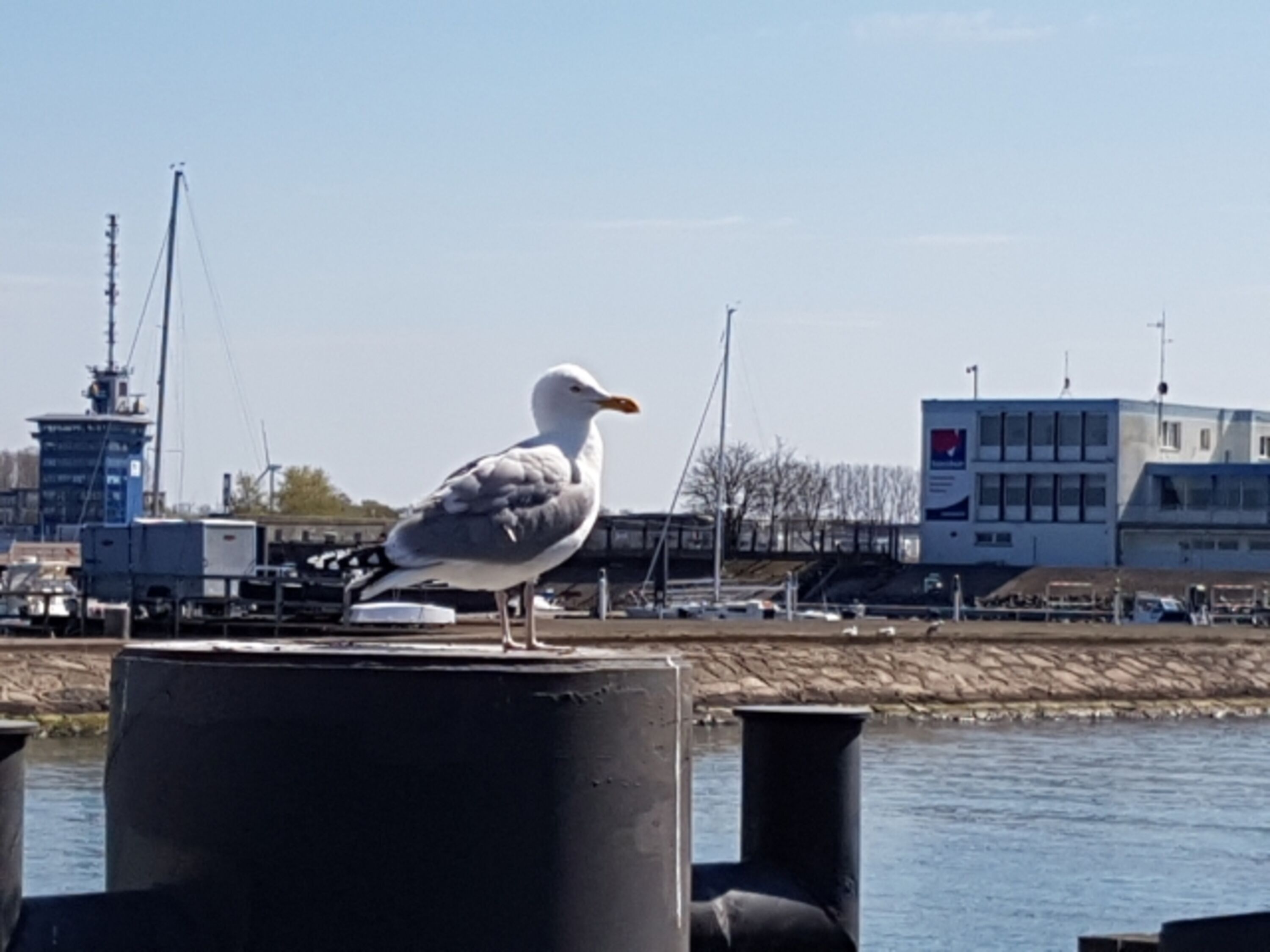 Hafen Warnemünde