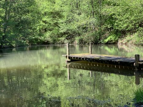 Tolle Wanderwege in direkter Nähe des Hauses
