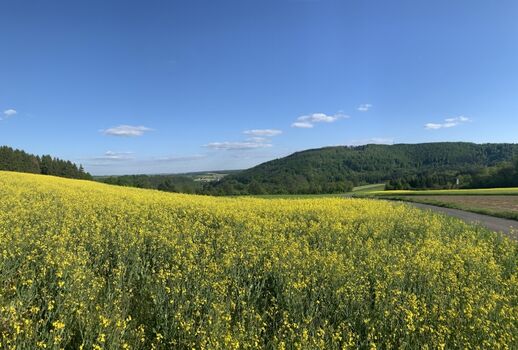Tolle Wanderwege in direkter Nähe des Hauses