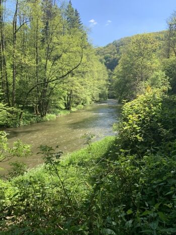 Tolle Wanderwege in direkter Nähe des Hauses