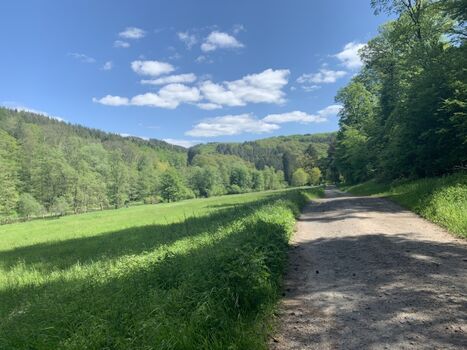 Tolle Wanderwege in direkter Nähe des Hauses