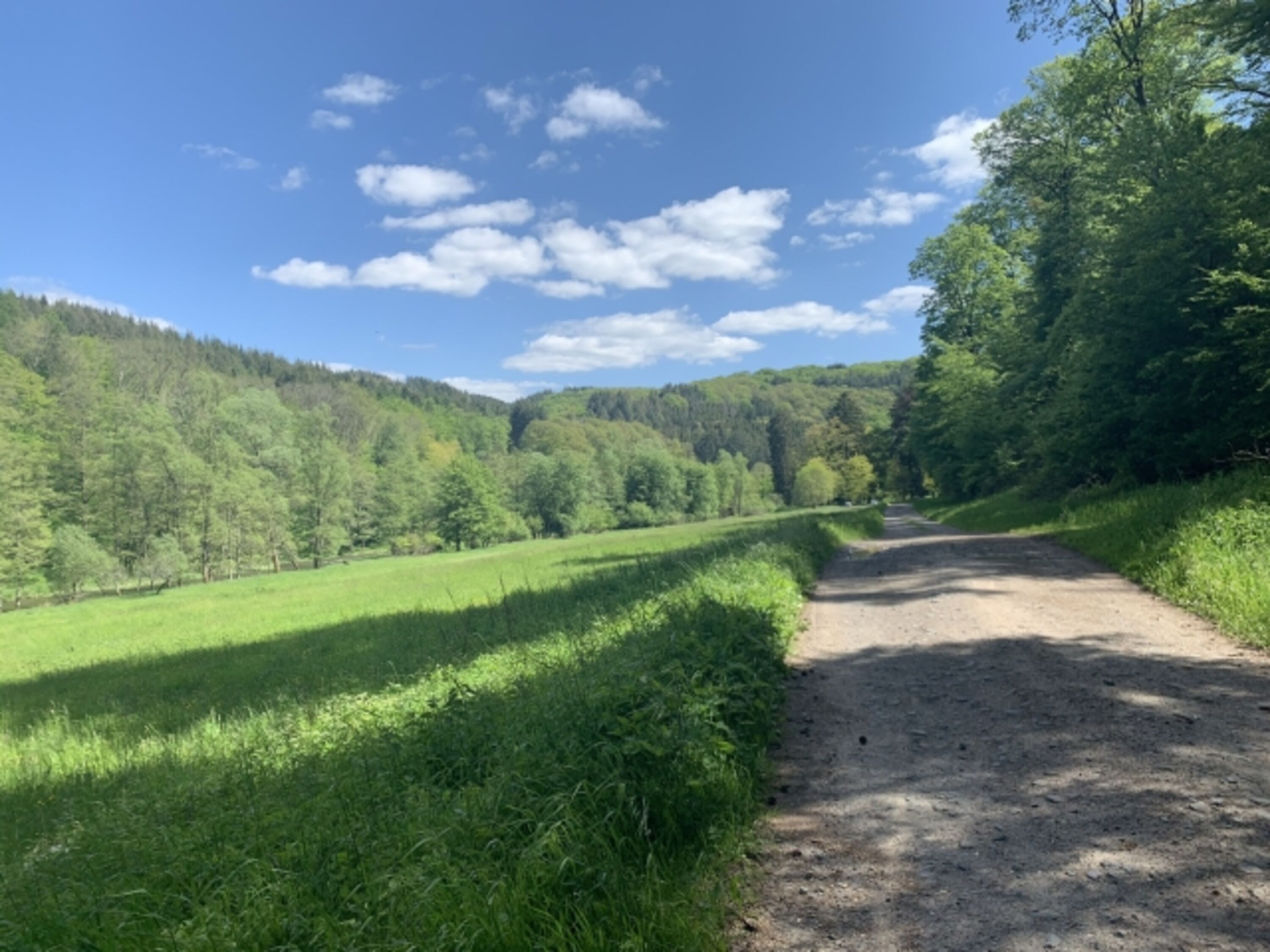 Tolle Wanderwege in direkter Nähe des Hauses