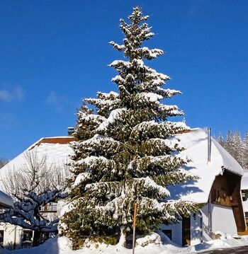 Hotzenhaus Winterzeit