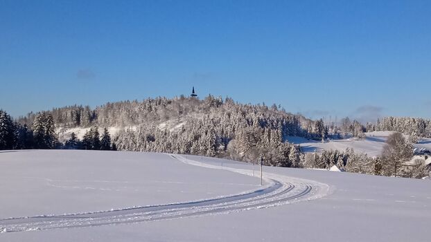Wintersport auf der Loipe
