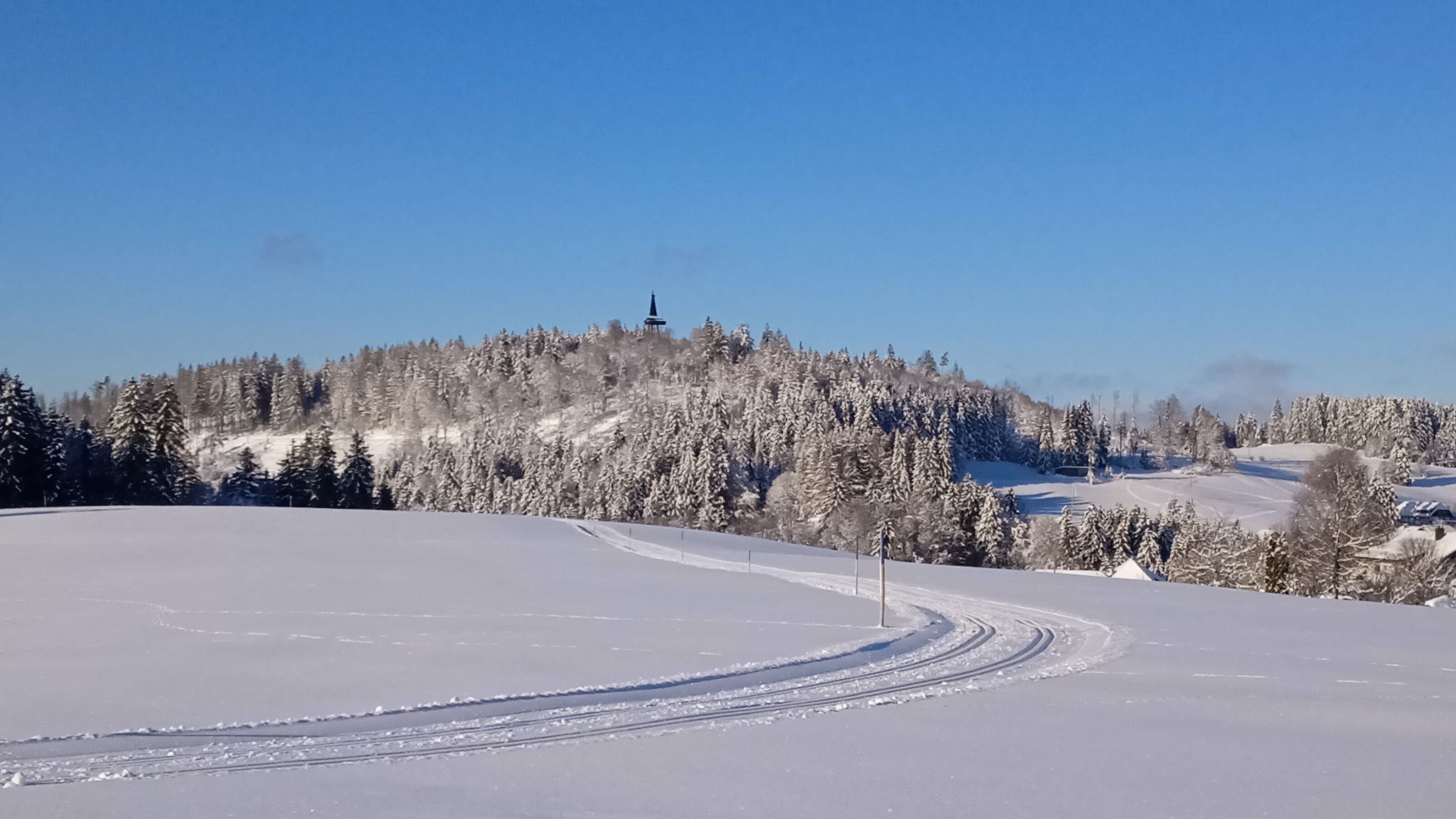 Wintersport auf der Loipe