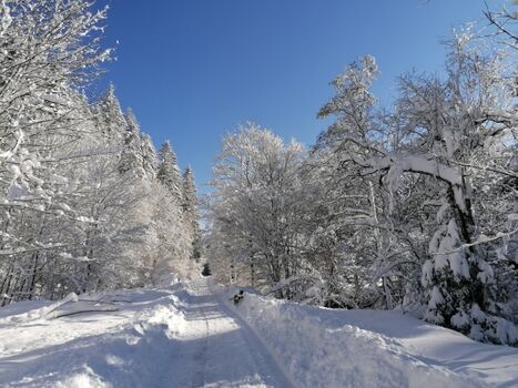 Immer am Langenbach entlang - direkt ab Haus!
