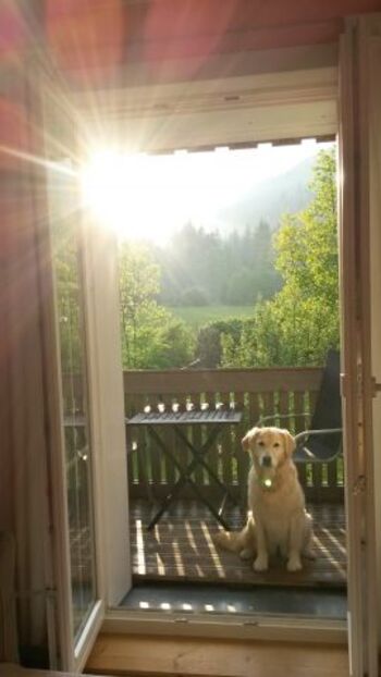 Der gemütliche Balkon mit schönem Blick in der Abendsonne