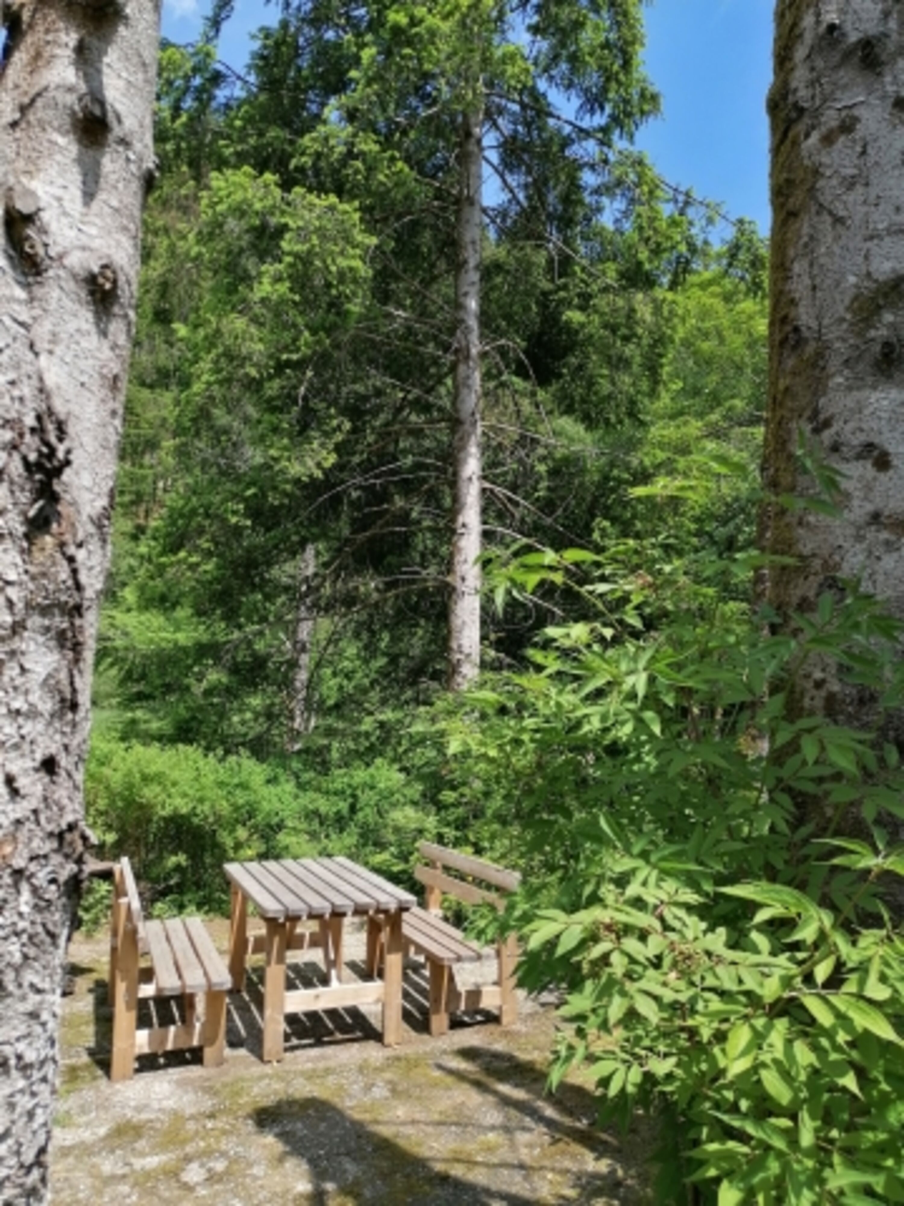 Noch ein Plätzchen am Bach