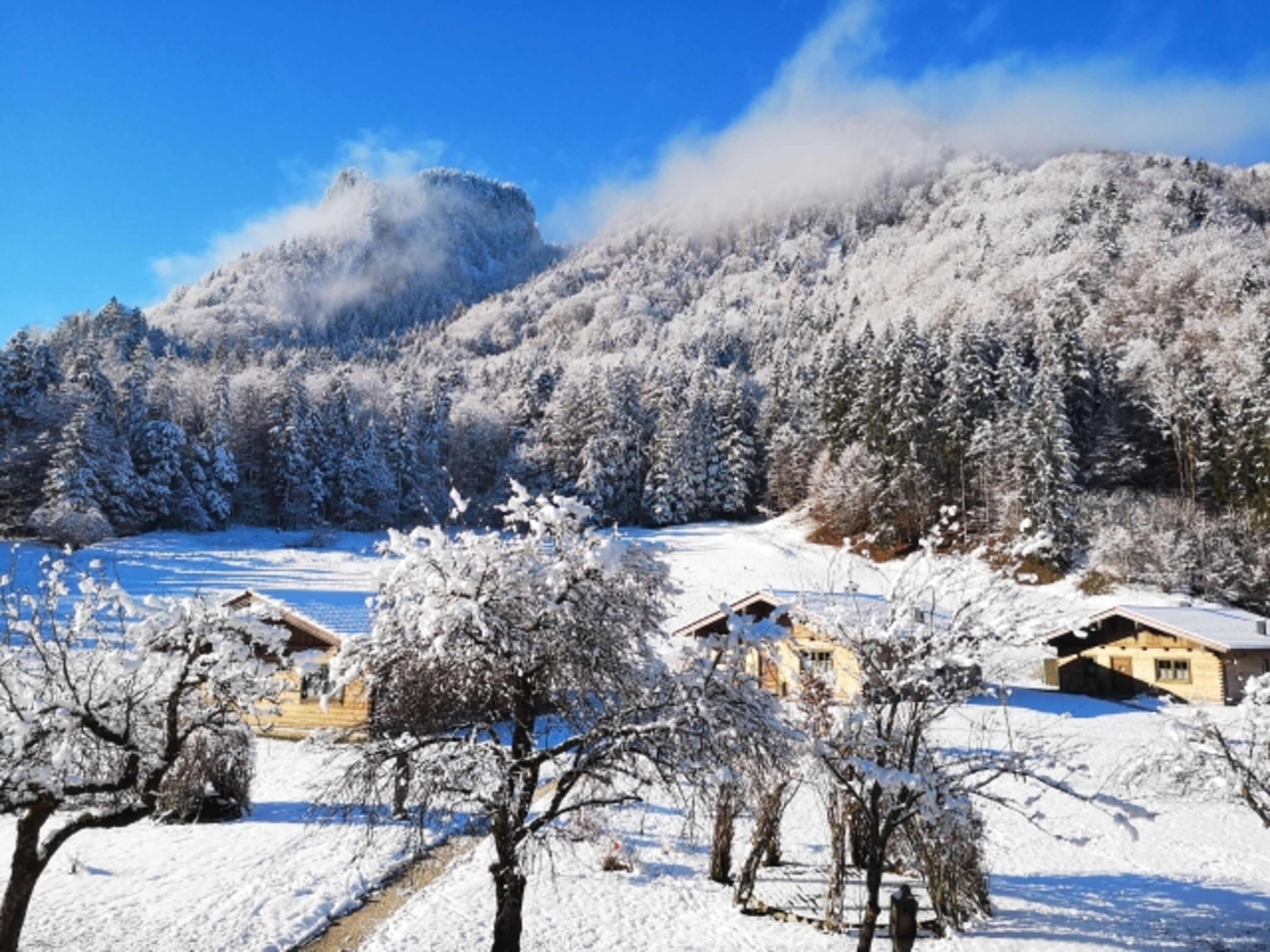 Wintermärchen
