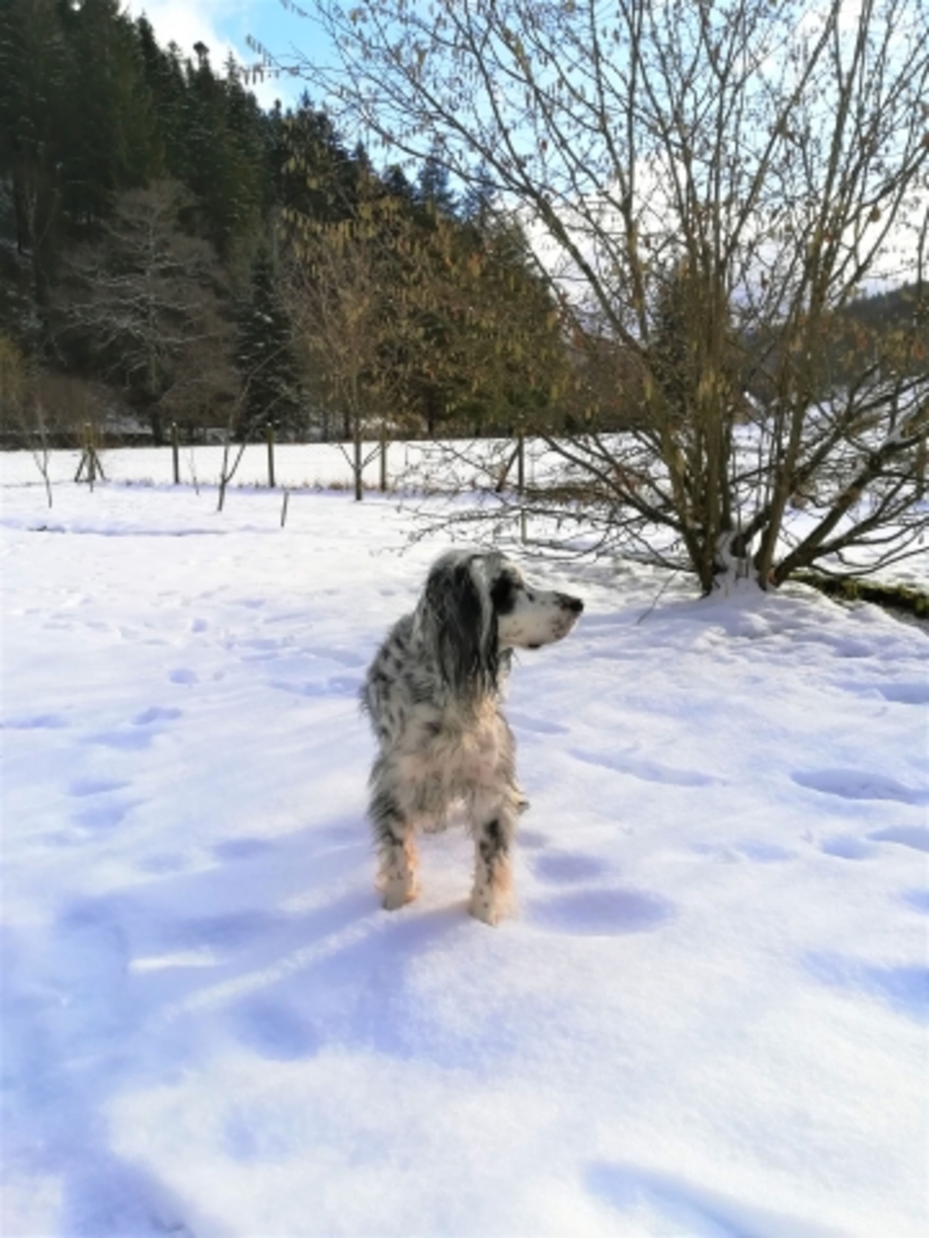 Bild 17