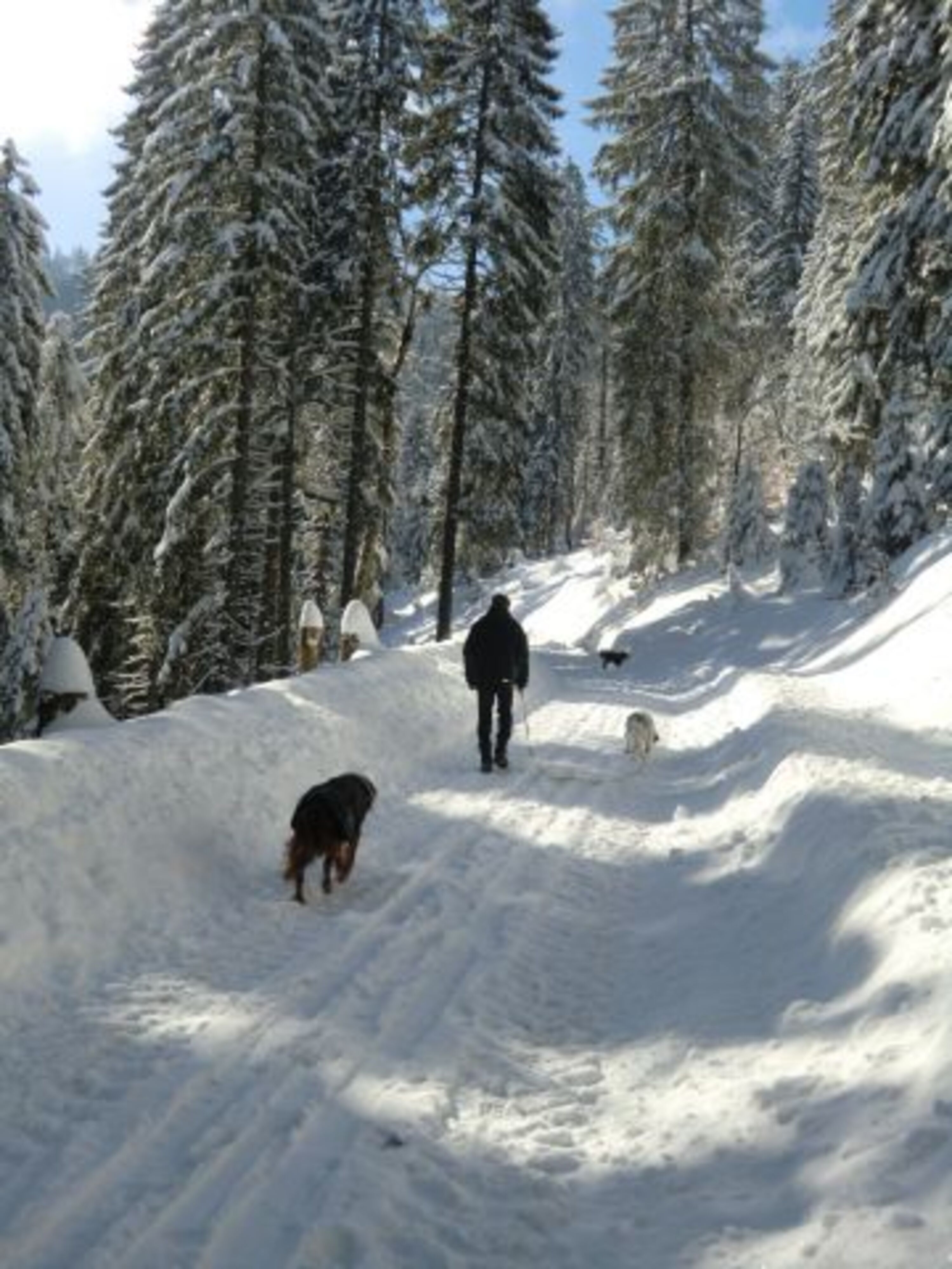 Herrliche Wanderungen auf geräumten Wegen