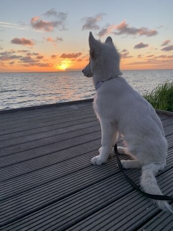 ...direkt am Ijsselmeer - traumhaft...