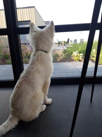 ...dieser Blick aufs Meer