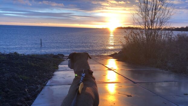 Sonnenaufgang über dem Ijsselmeer