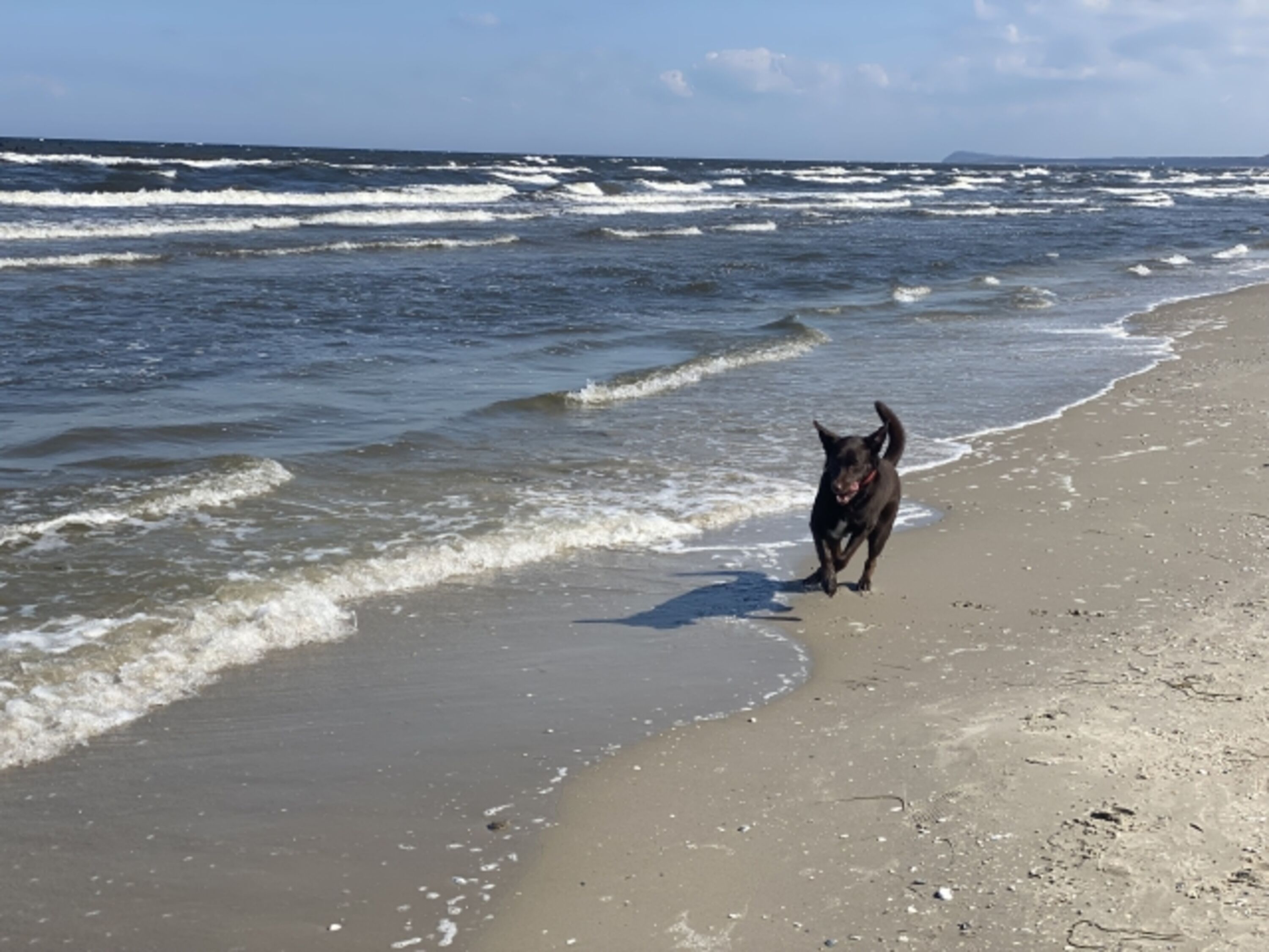 Cora am Strand