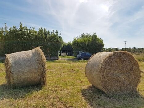 Sicht vom gegenüberliegenden Feld zum Haus 