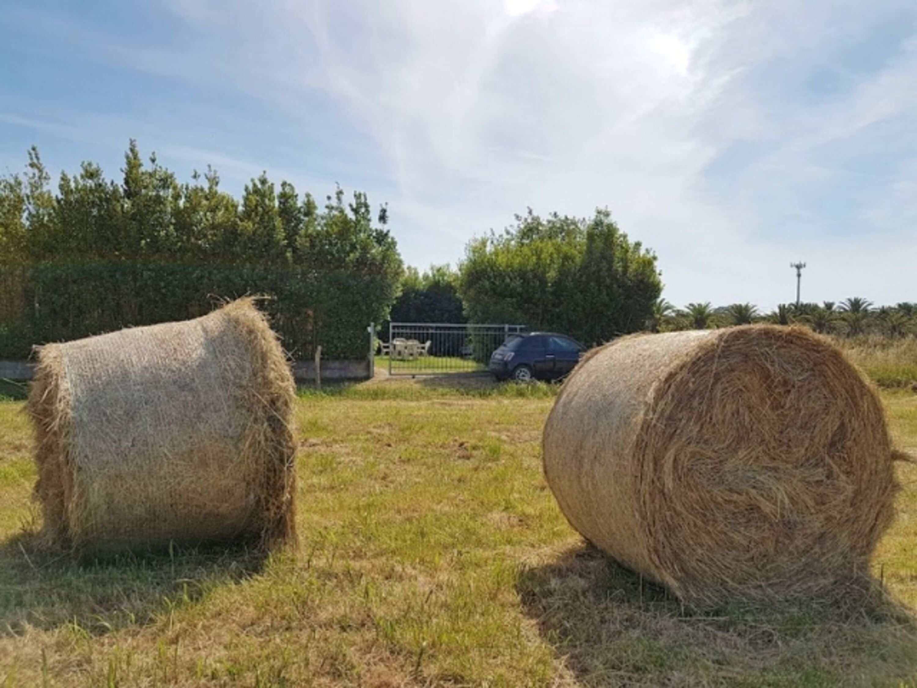 Sicht vom gegenüberliegenden Feld zum Haus 