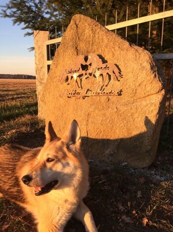 Herzlich Willkommen!