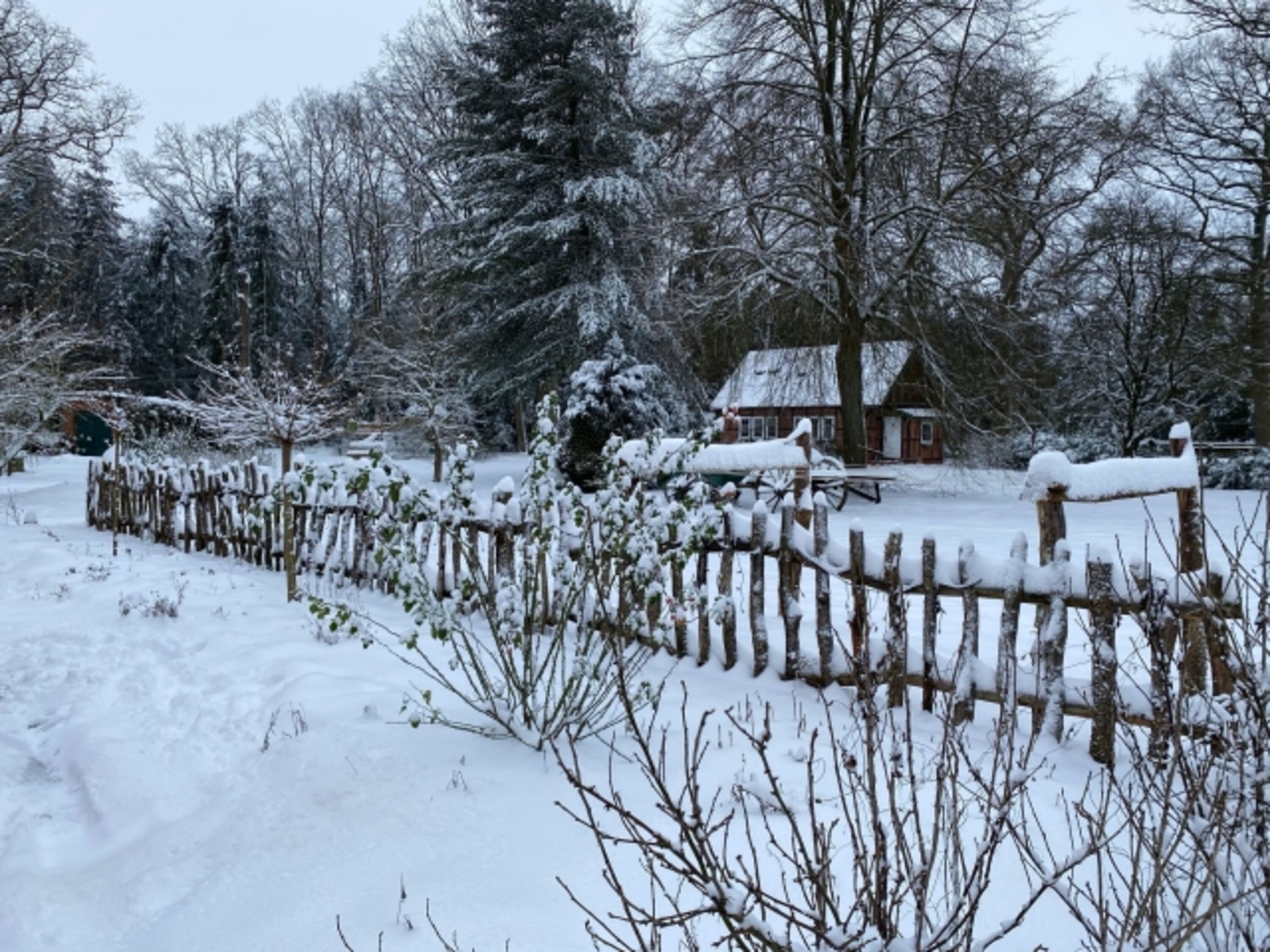 Im Winter
