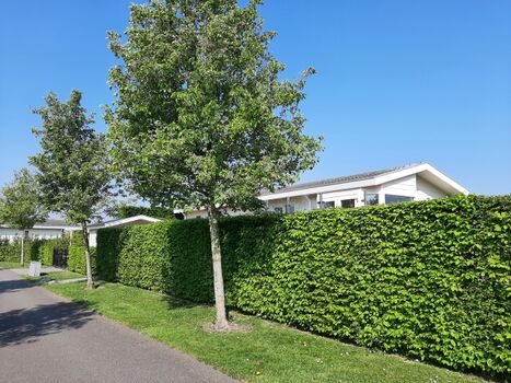 Sehr schön uneinsehbares Grundstück 