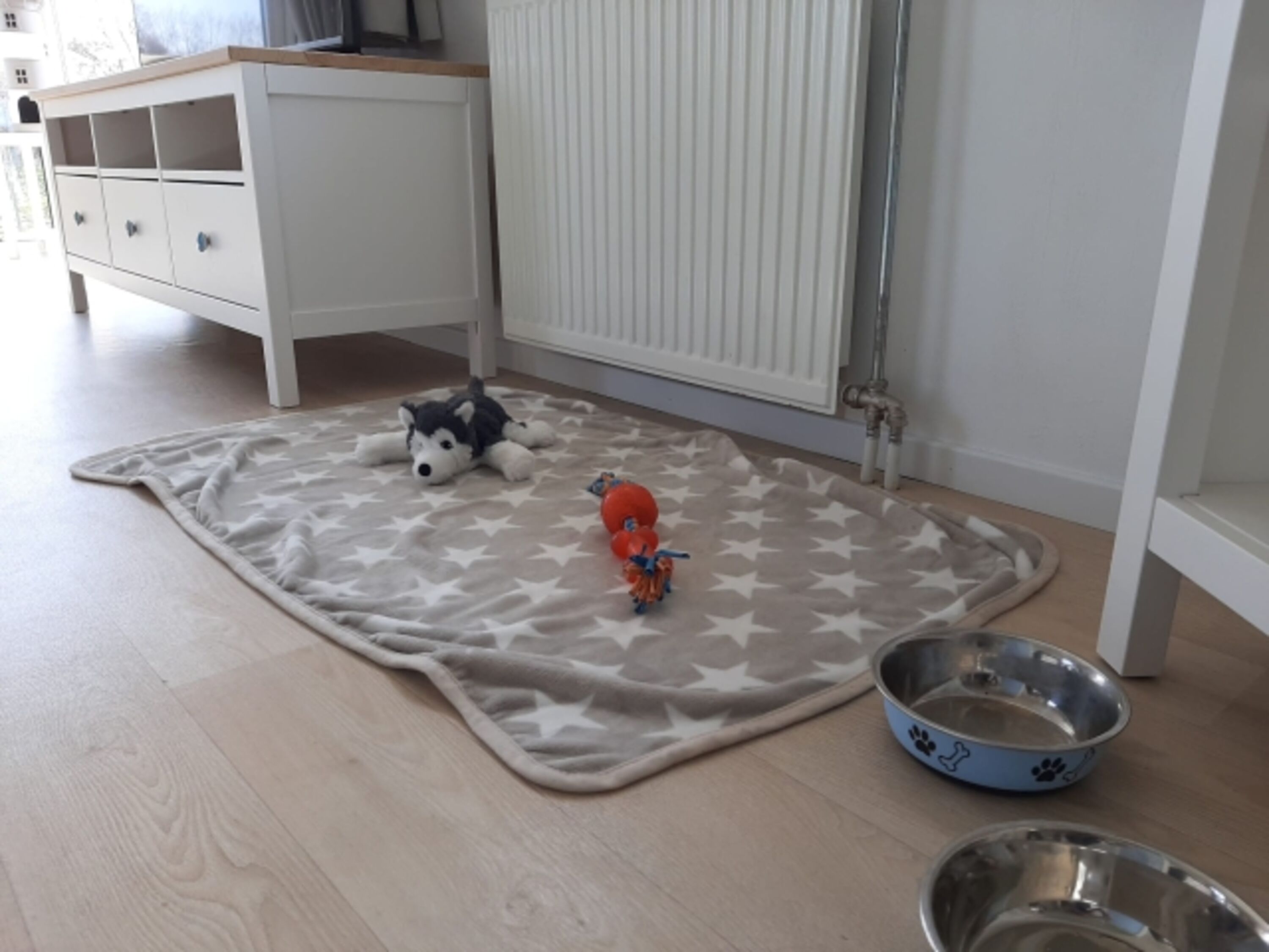 Hundeplatz