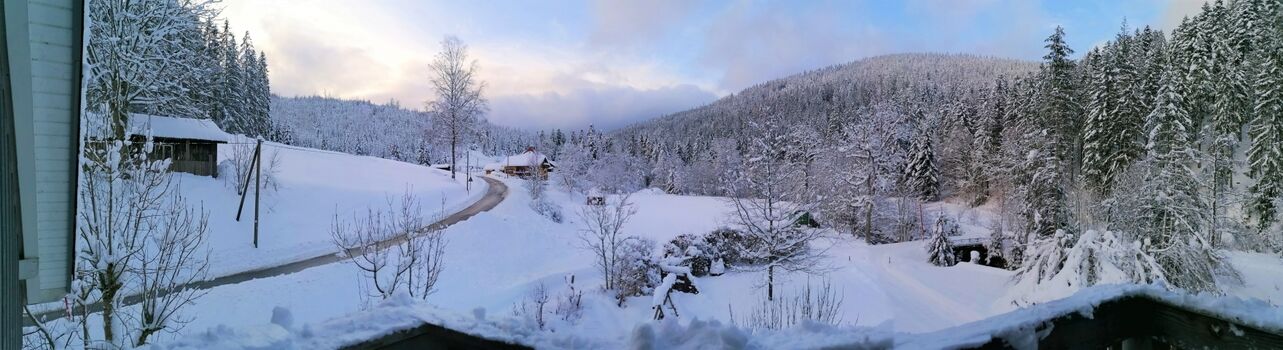 Winteridylle in der Panoramaeinstellung