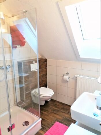 Modernes Bad mit Dusche/WC