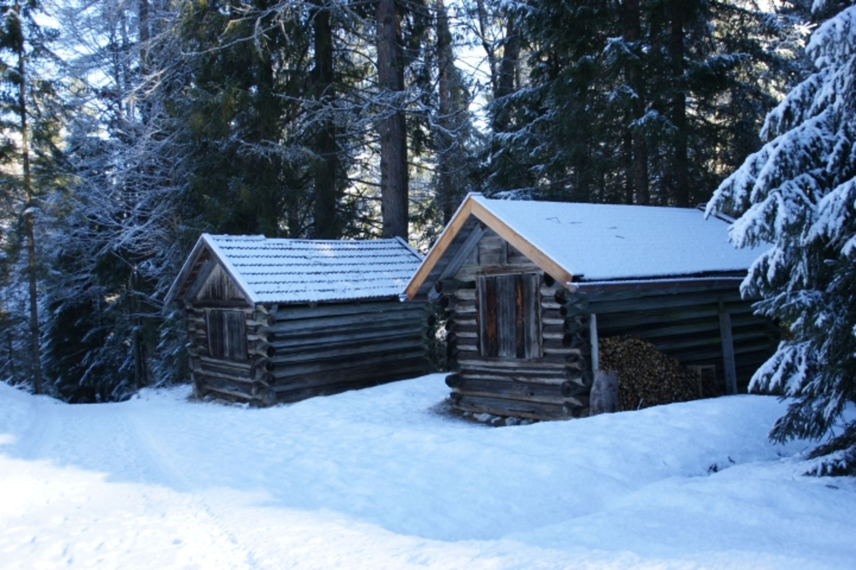 Bild 21