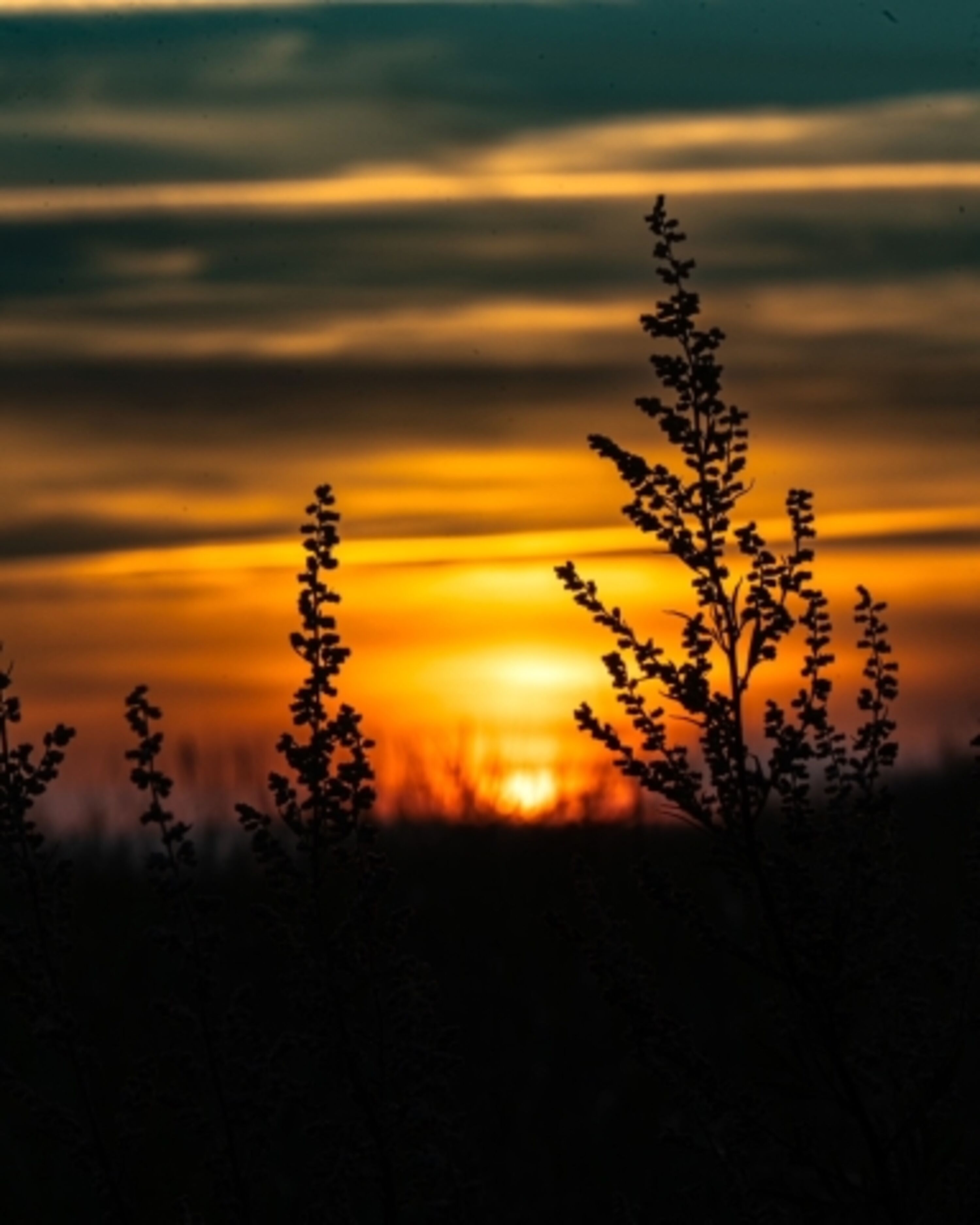 Abendstimmung
