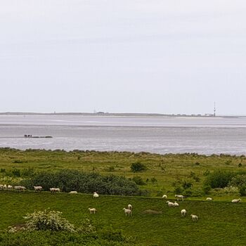 Blick zur Insel Minsener Oog