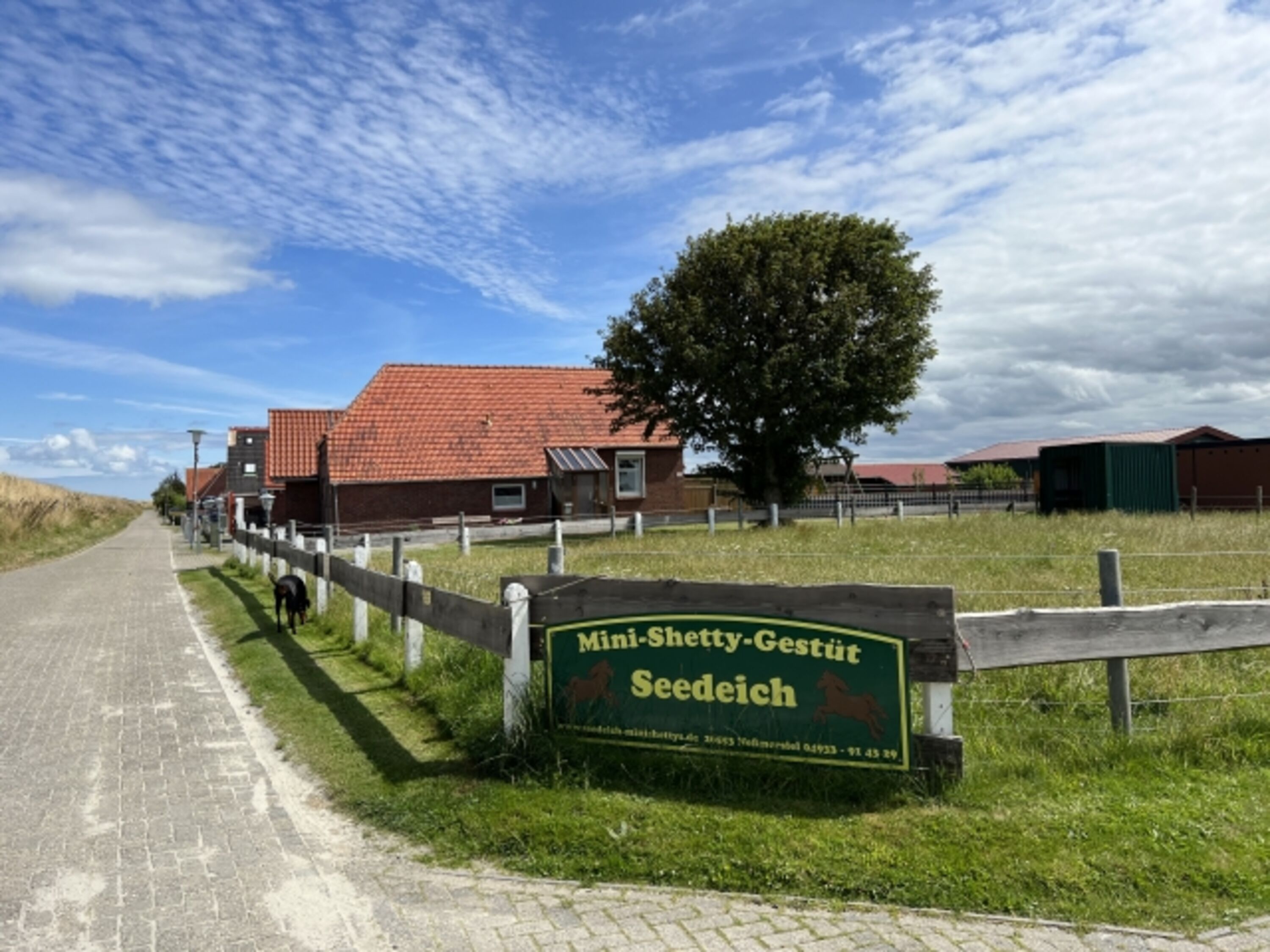 Bild 2