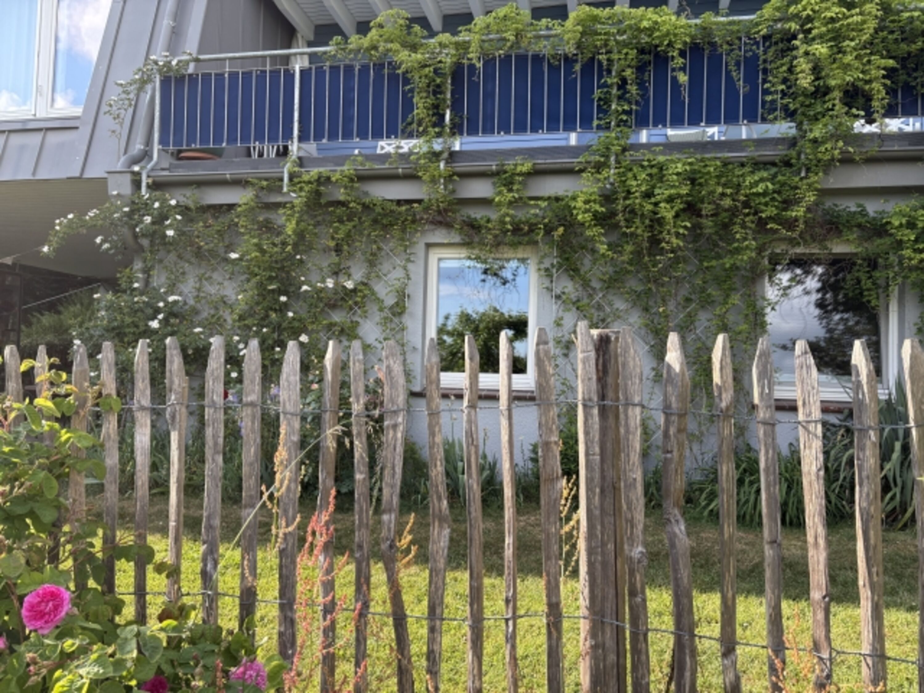 Bild 9