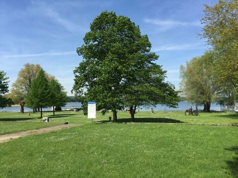 Badestelle mit sprungbrett und Rutsche