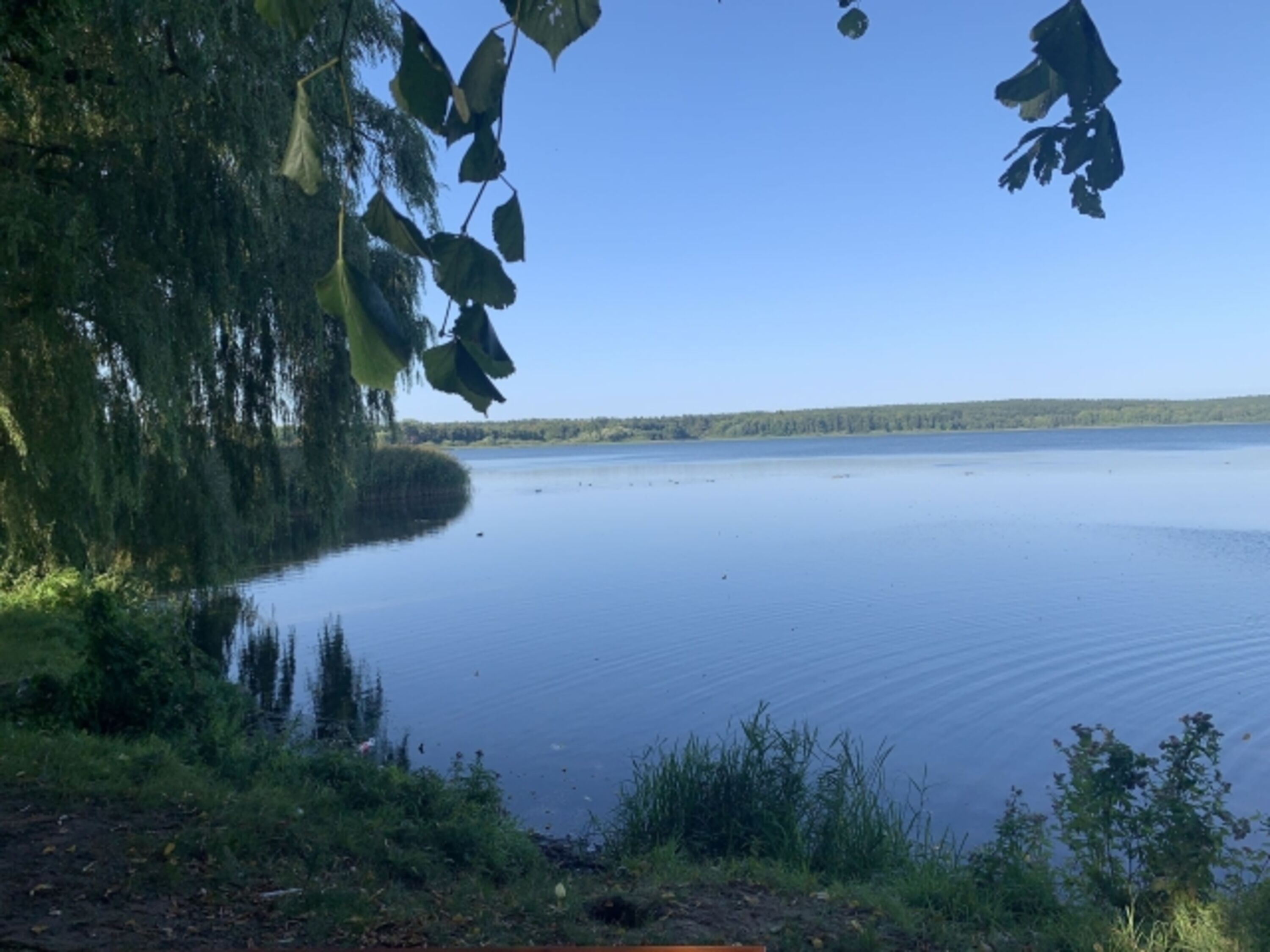 Blick auf den See