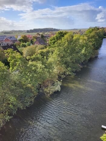 Blick vom Balkon auf unsere Gracht