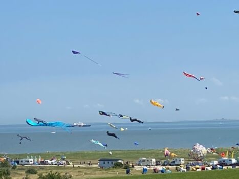 oder Drachen steigen lassen